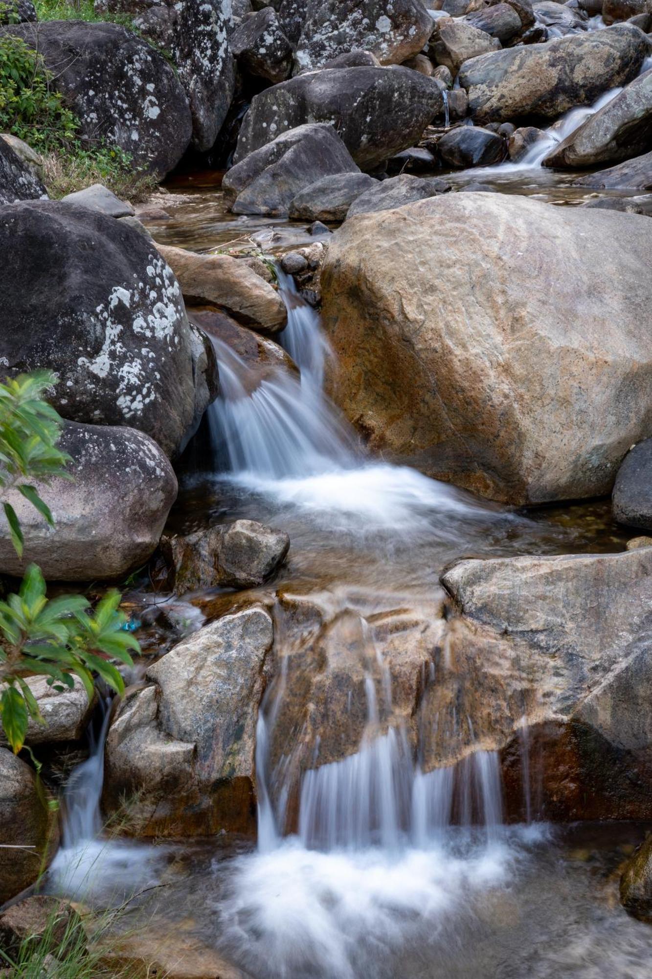 Shanthi Uyana Kandy Dış mekan fotoğraf