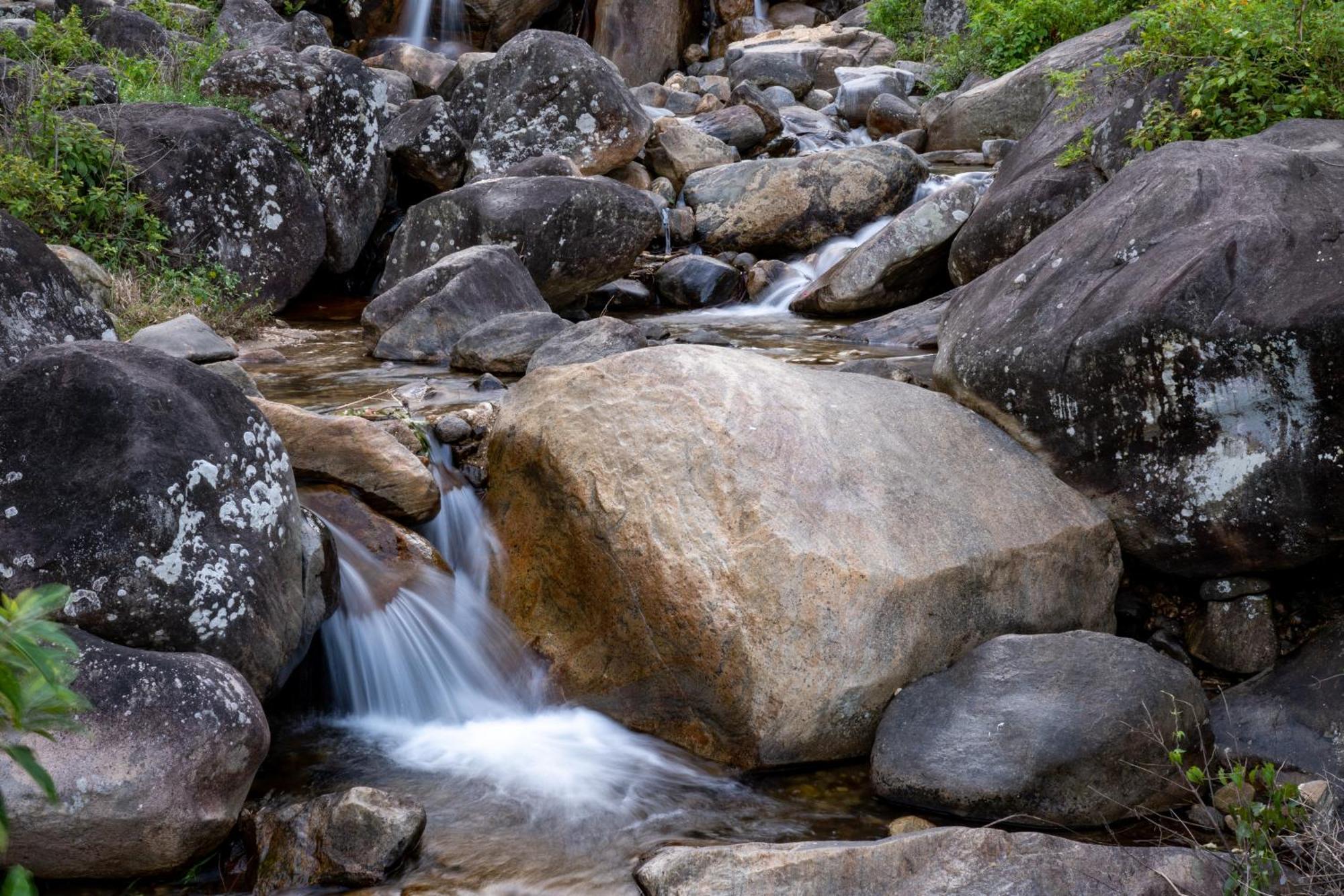 Shanthi Uyana Kandy Dış mekan fotoğraf